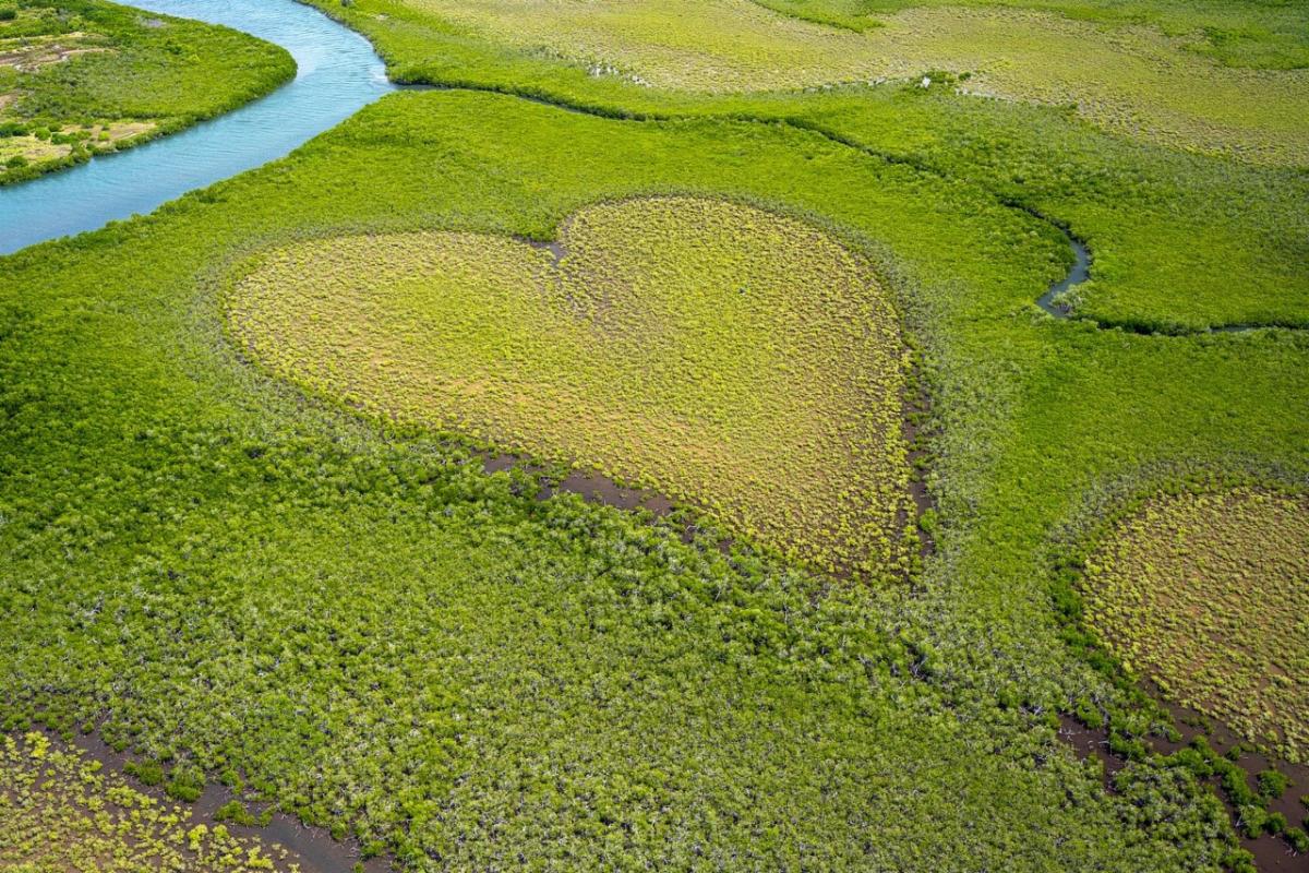 Field shaped in a heart