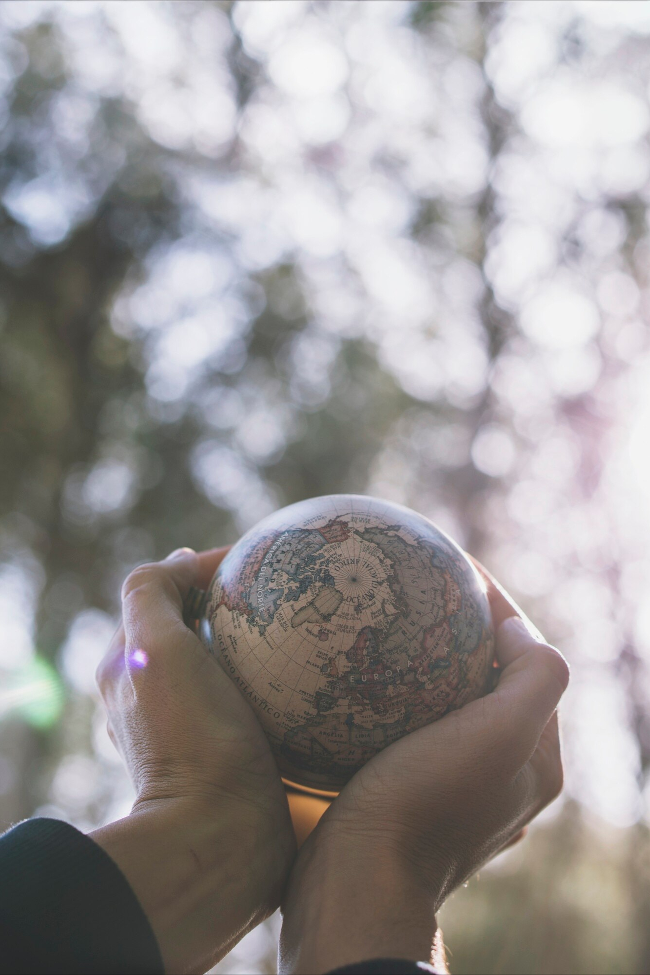 freepik__adjust__83877 Globe in person's hand lifting up to trees